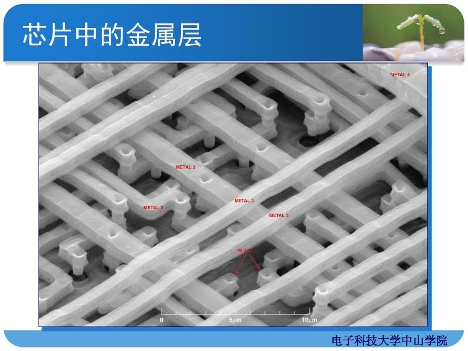 集成电路工艺之化学气相淀积_第5页