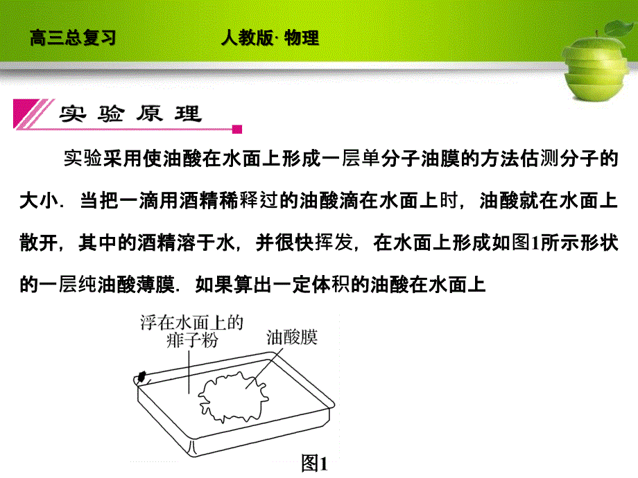 新课标2012届高考物理总复习配套课件实验12 用油膜法估测分子的大小_第3页