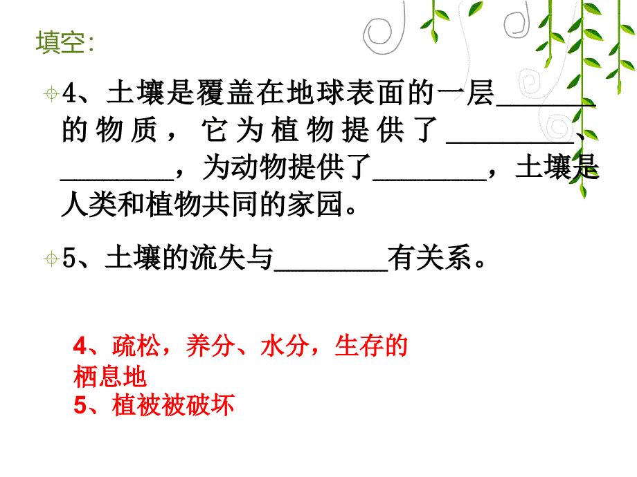 土壤与生命(复习)_第3页