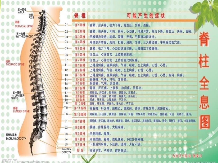 截瘫的护理查房课件_第5页