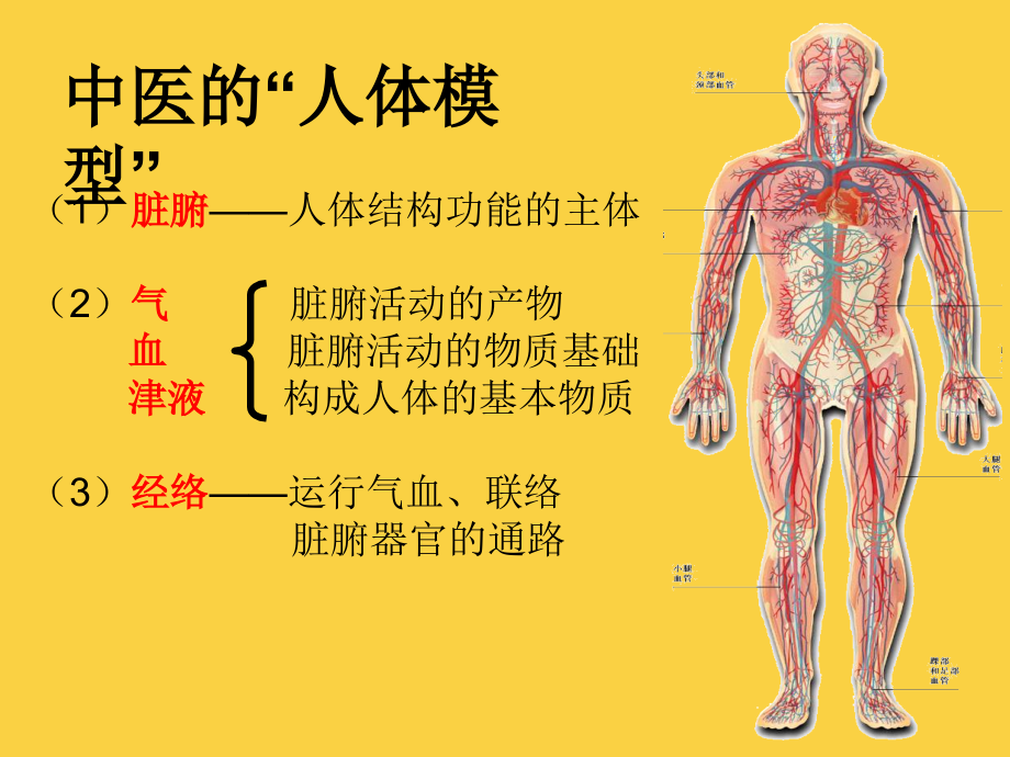 2013气血津液_第4页