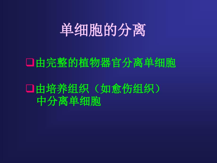 细胞悬浮培养课件_第2页