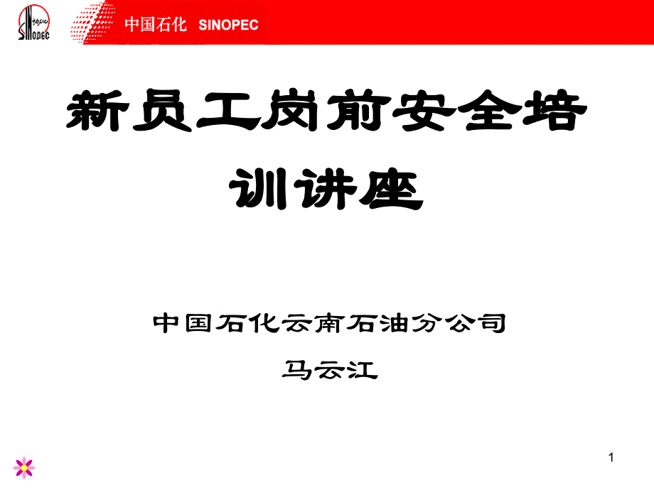 新员工岗前安全培训讲座(最新修改)_第1页