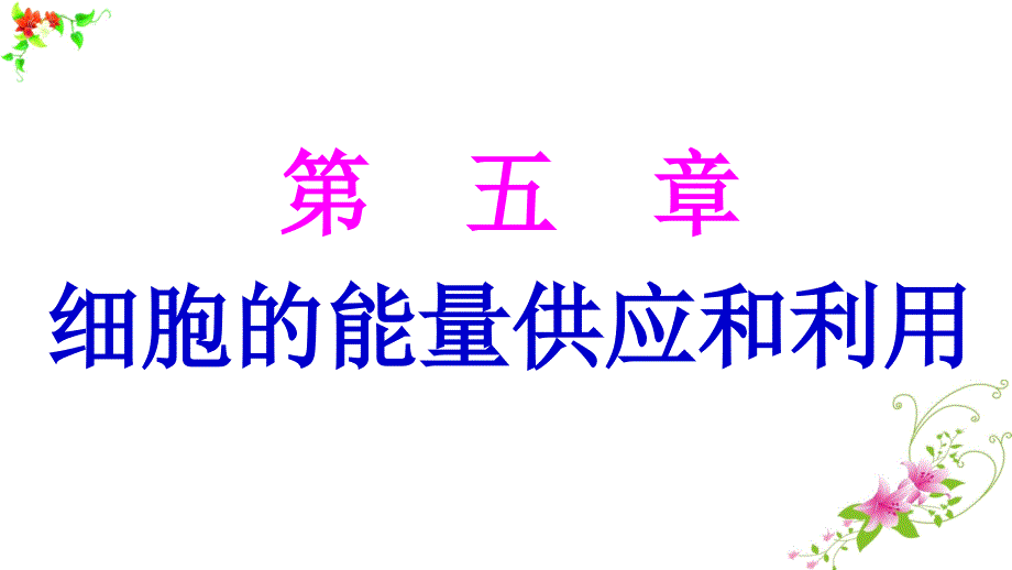 2018年高考生物（必修1）一轮复习：降低化学反应活化能的酶、细胞的能量“通货”——ATP_第1页