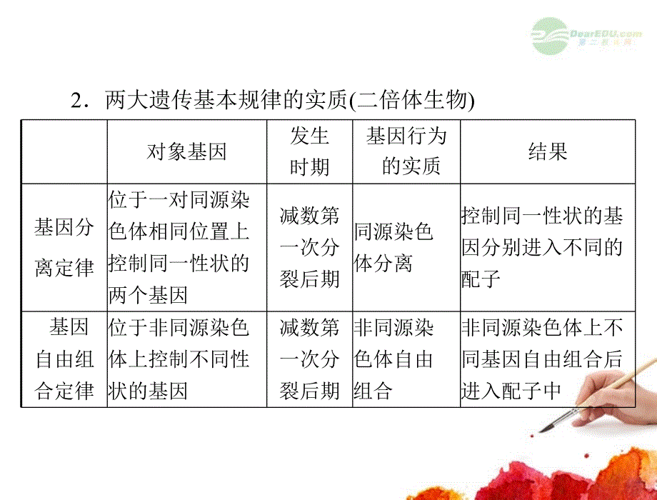 【金牌学案 风向标】2012年高考生物大二轮总复习 第一部分 专题四 第2讲 遗传的基本规律和人类遗传病课件_第4页