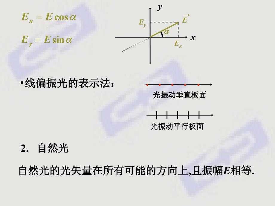 偏振与晶体双折射_第3页