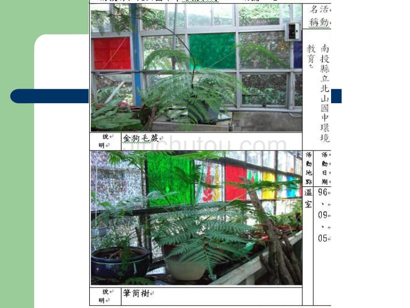 上的发生的发生大_第3页