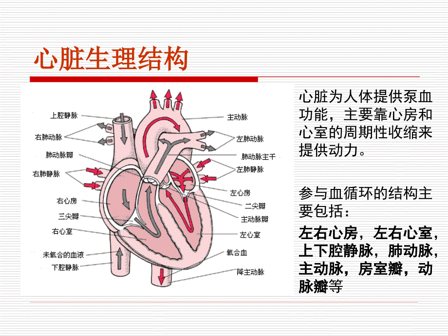 心电以及监护仪生理参数测量_第3页