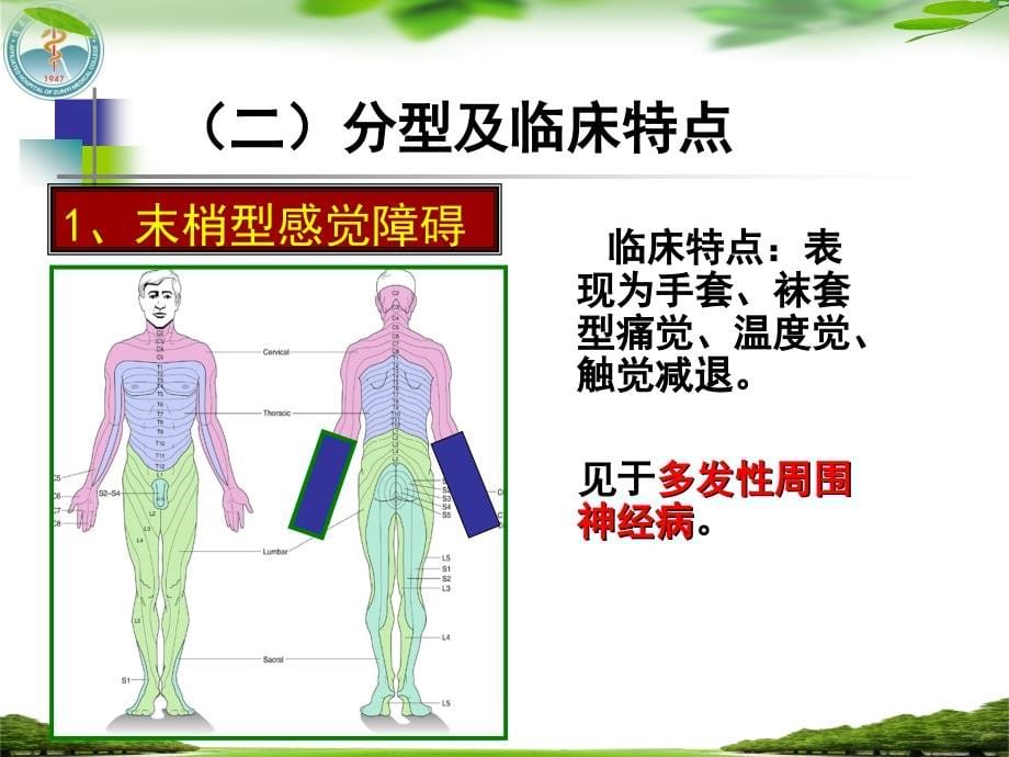 执业医师考试培训课件(神内)_第5页