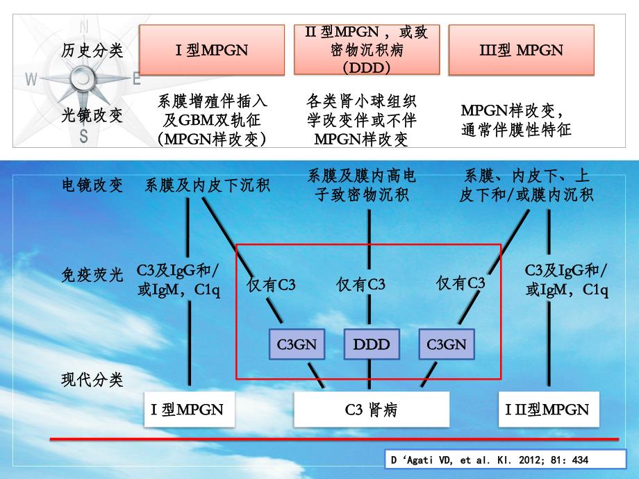 肾小球病新概念及专家共识上海_第3页