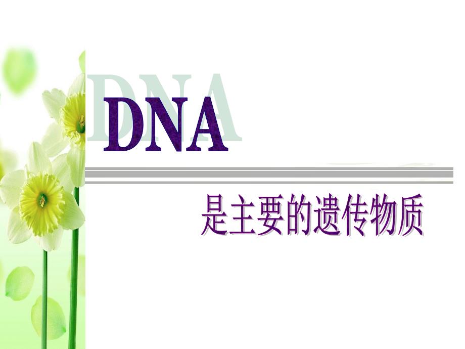 高三一轮复习 dna是主要的遗传物质(2016届高三生物一轮复习)_第1页