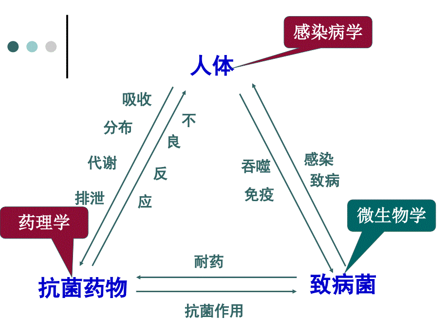 细菌耐药与抗菌药物应用_第3页