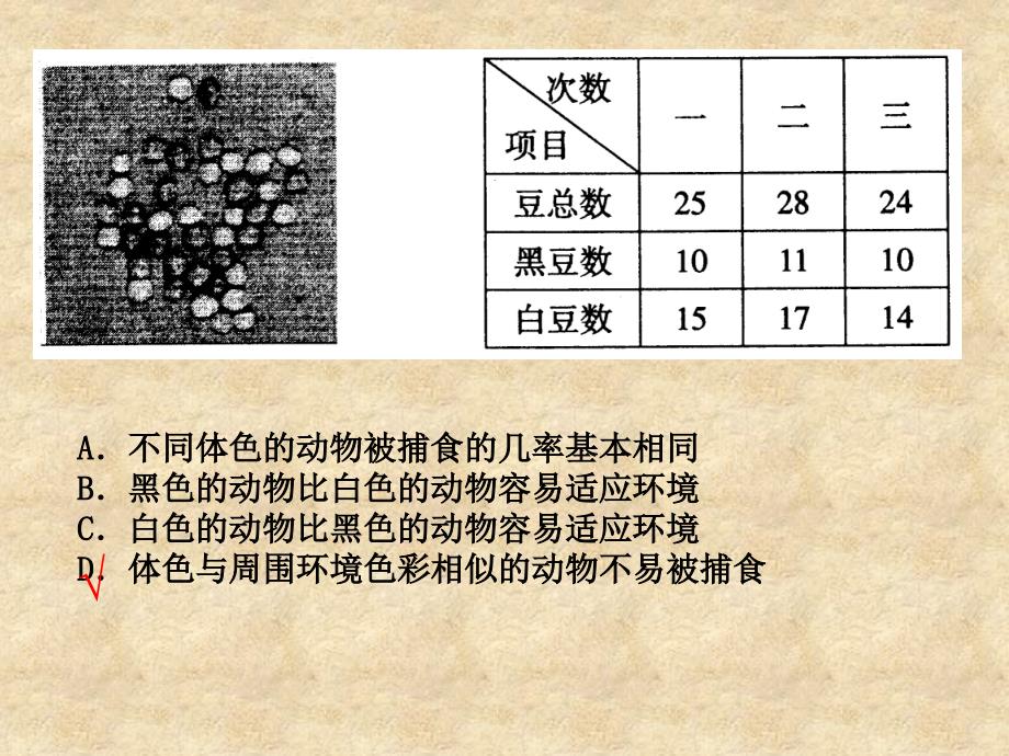 2010年高考生物二轮复习课件：专题五综合类_第2页