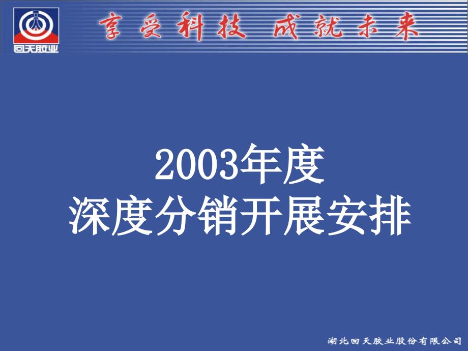 2003年度深度分销工作最终版本_第1页