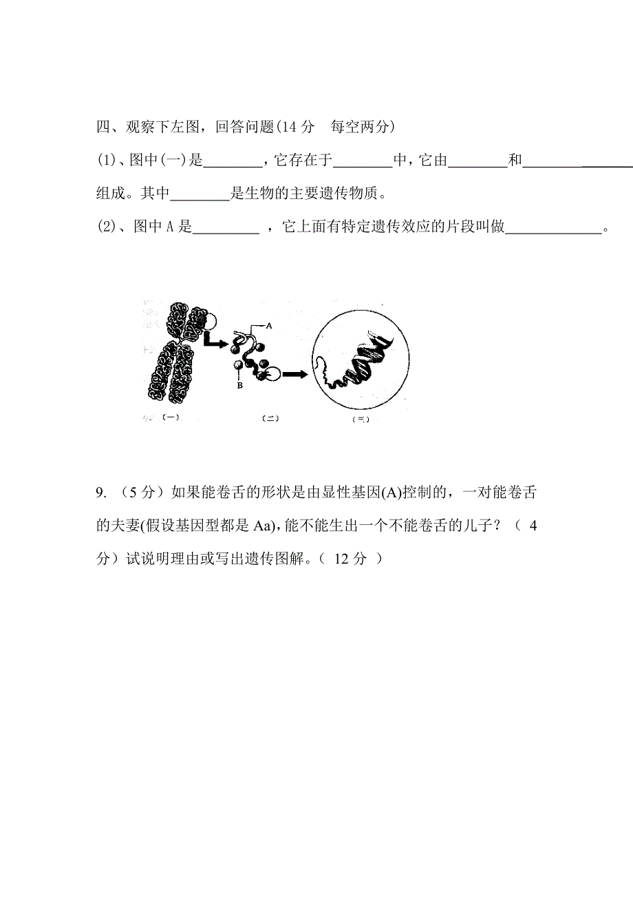 初二年级生物期中试卷_第4页