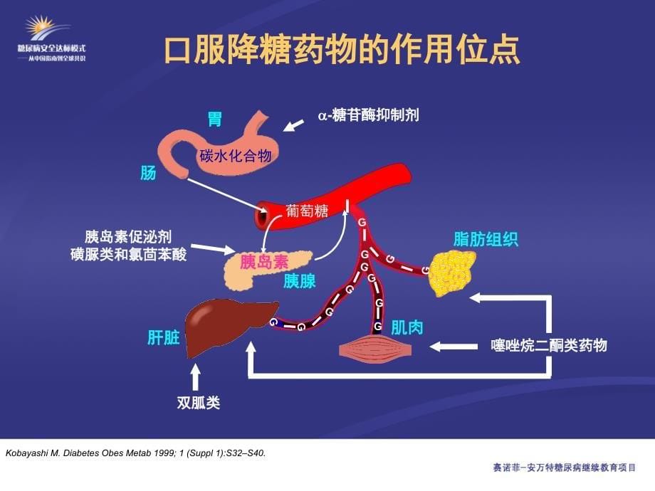 B型糖尿病的药物治疗_第5页