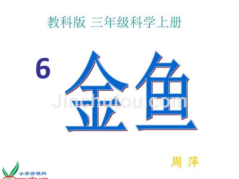 三年级科学金鱼ppt_第1页