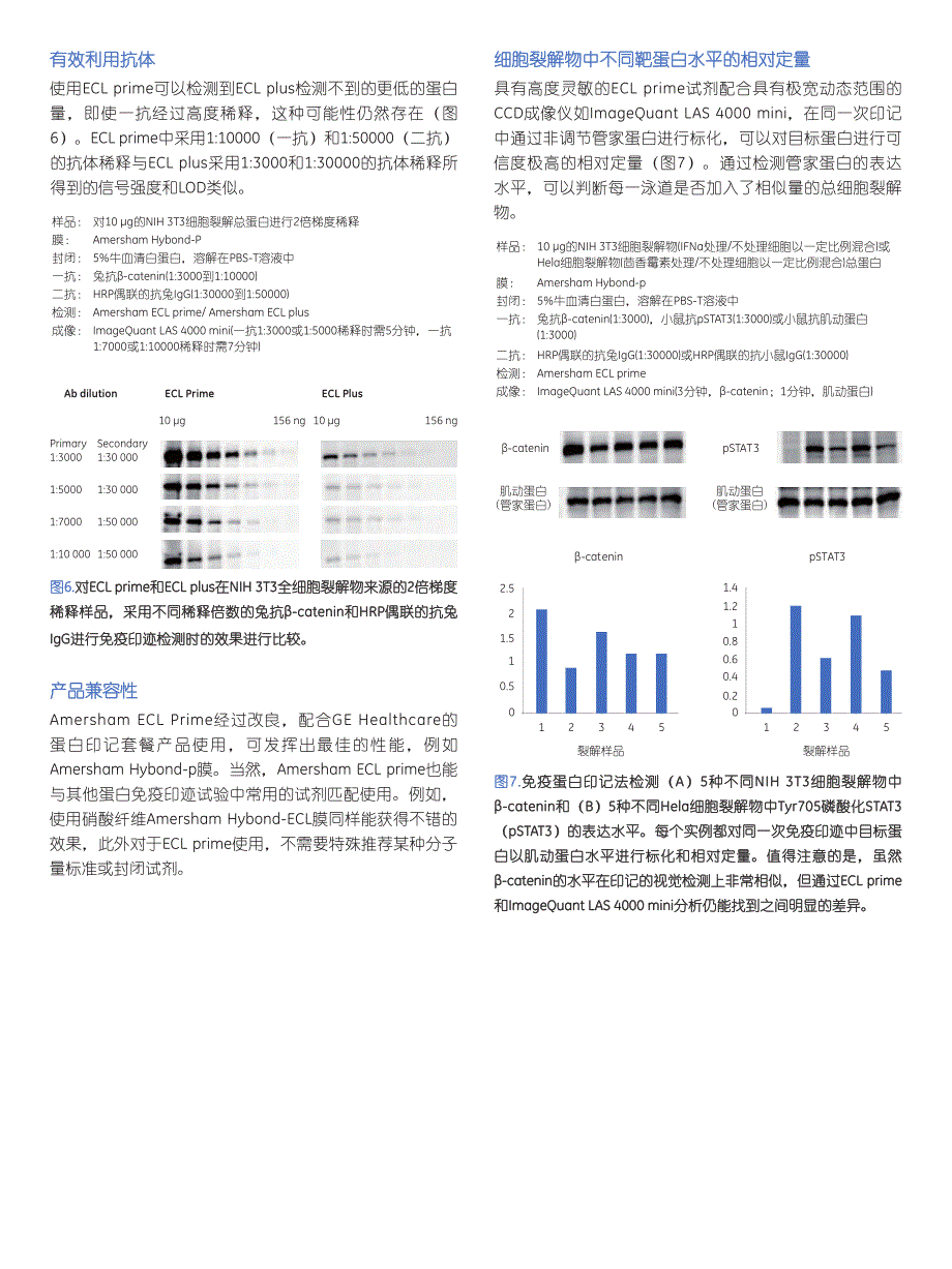 发光底物试剂盒说明书_第4页