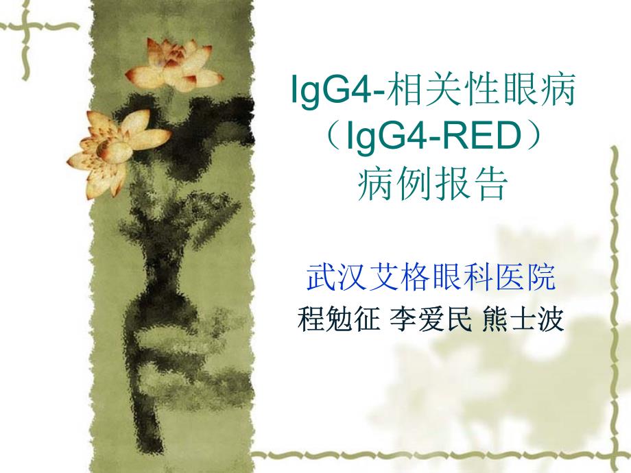 IgG相关性眼病_第1页