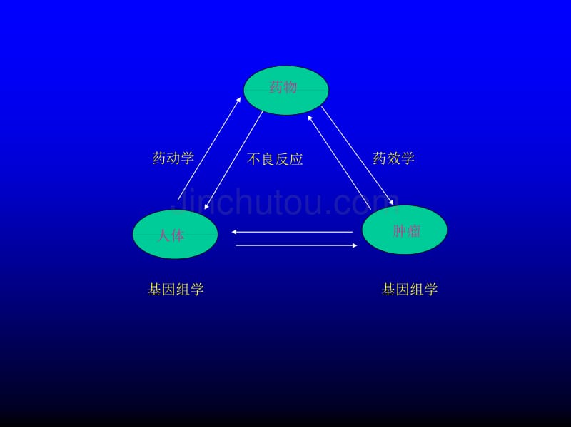 肿瘤治疗合理用药进展_第4页