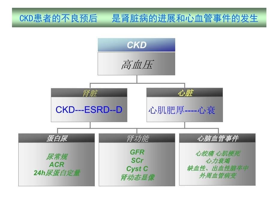 CKD患者高血压管理_第5页