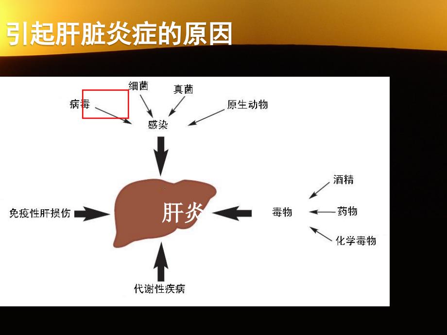 干扰素的重要临床意义(经验分享)_第4页