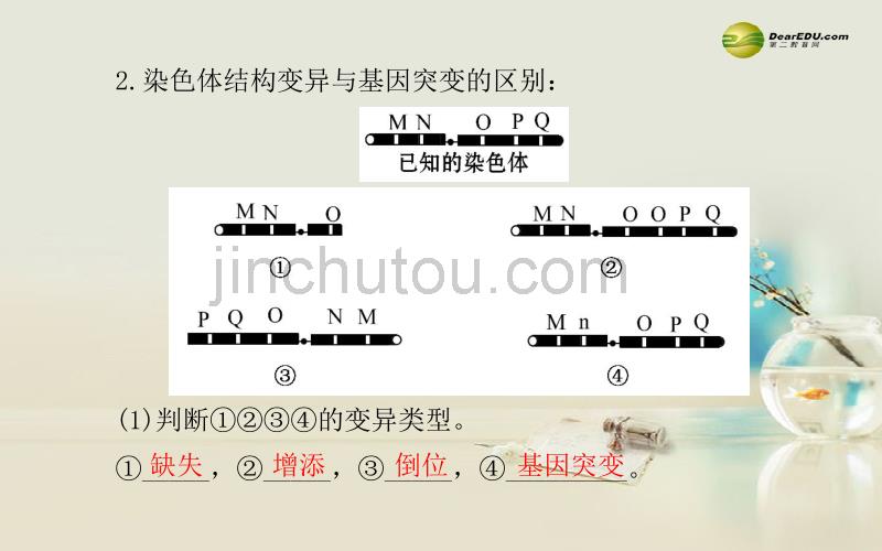 （教师用书）高考生物二轮复习 专题四 第3讲变异、育种与进化课件_第3页