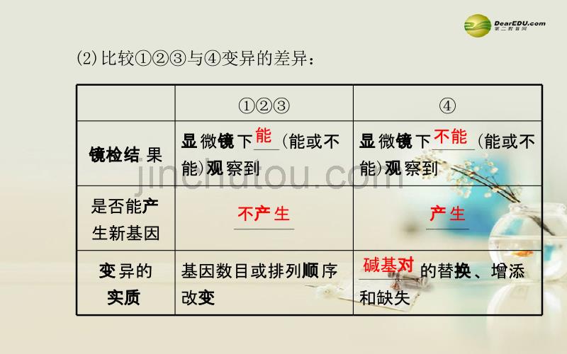 （教师用书）高考生物二轮复习 专题四 第3讲变异、育种与进化课件_第4页