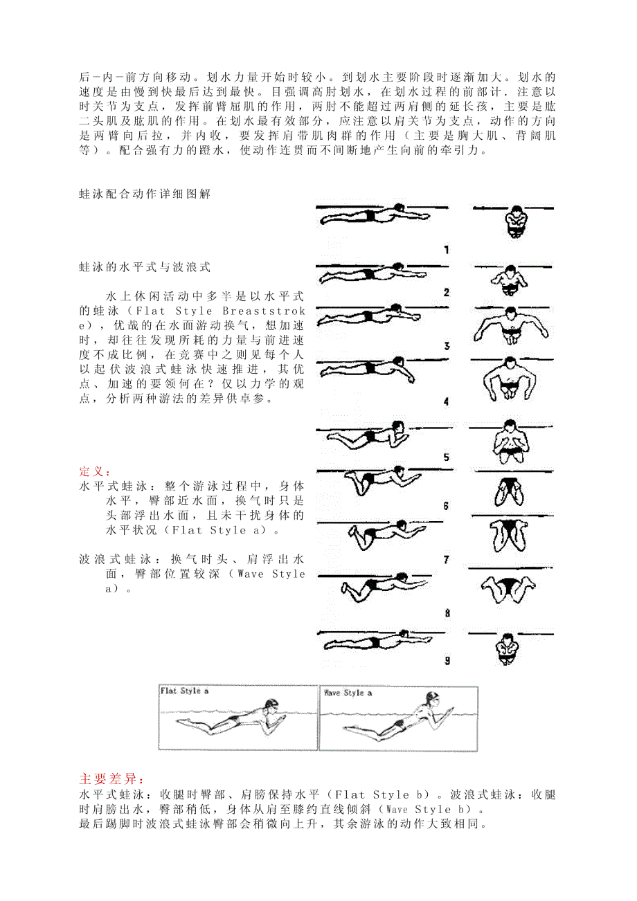 游泳-蛙泳完整教学手册_第3页