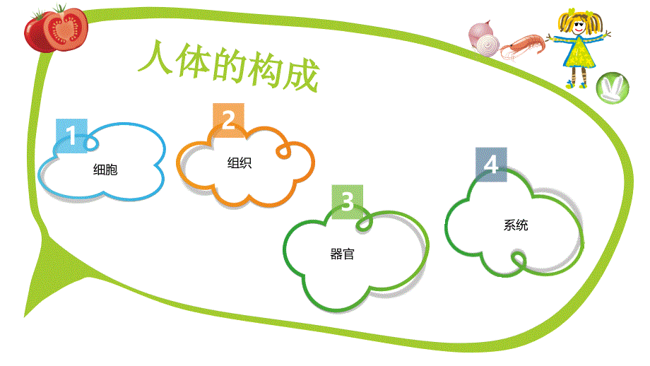 学前儿童卫生保健—幼儿生理特点_第2页