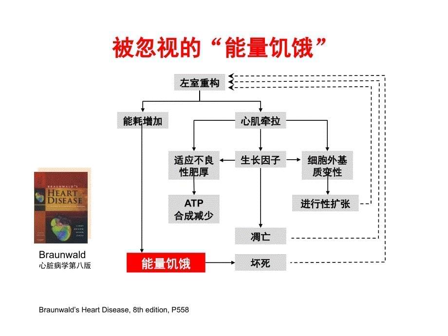 心肌的能量代谢治疗_第5页