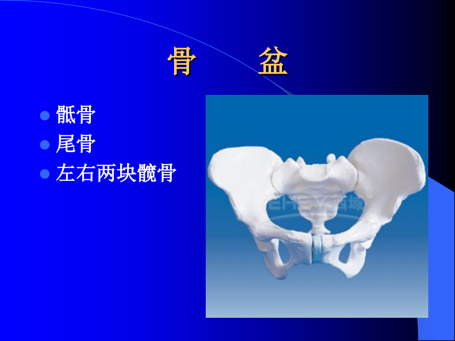 妇产科专业技术课程_第4页