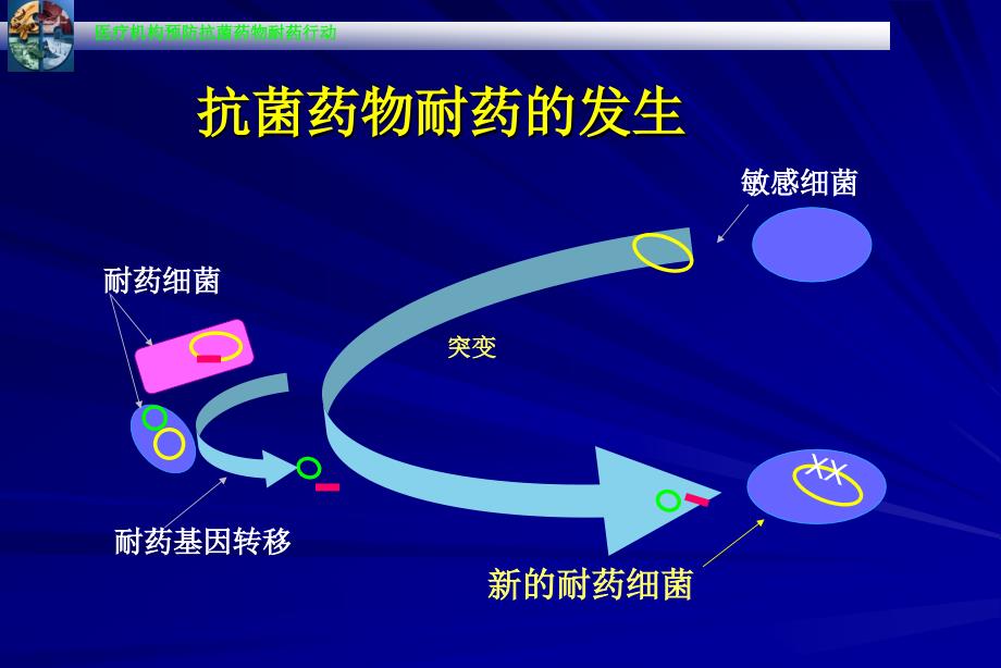 细菌耐药与抗生素合理应用_第4页