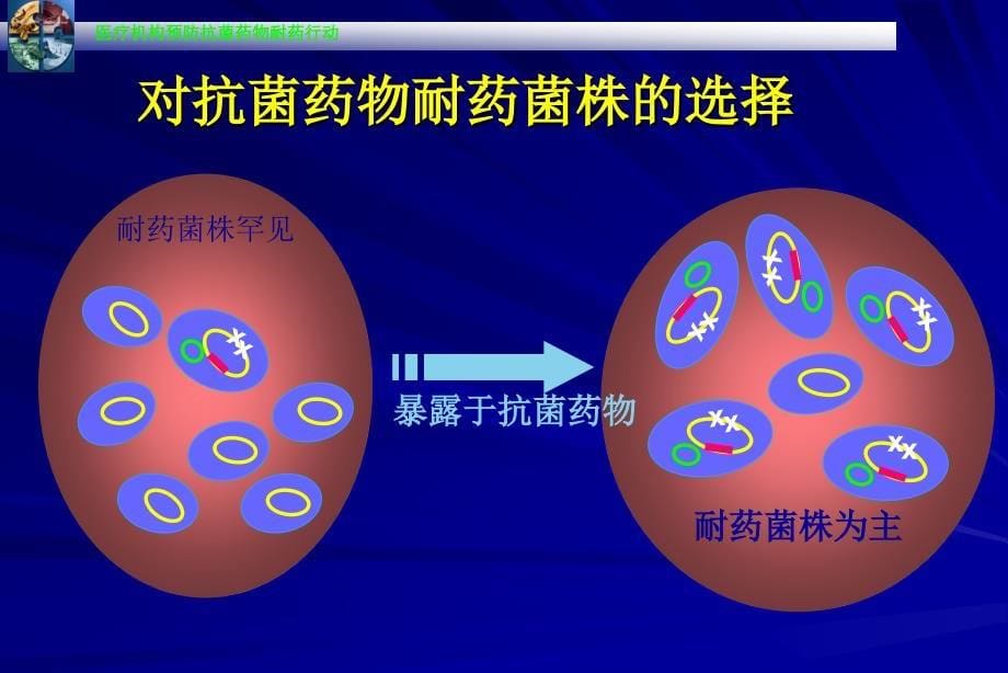 细菌耐药与抗生素合理应用_第5页