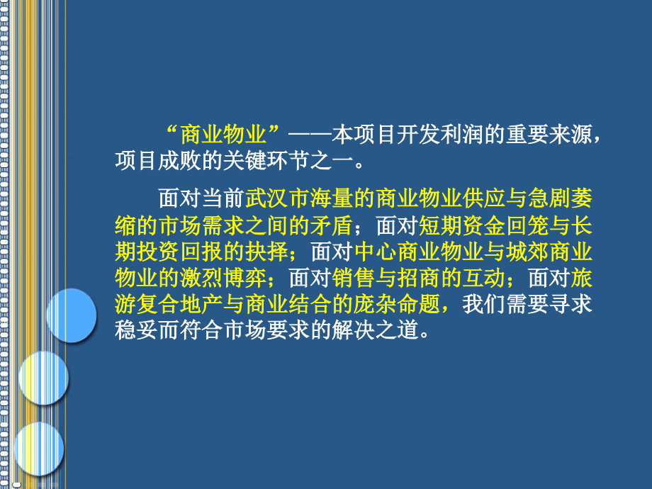 武汉极地海洋世界项目竞标方案(商业版)-06_第2页