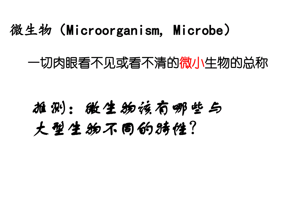 微生物的主要类群_第3页