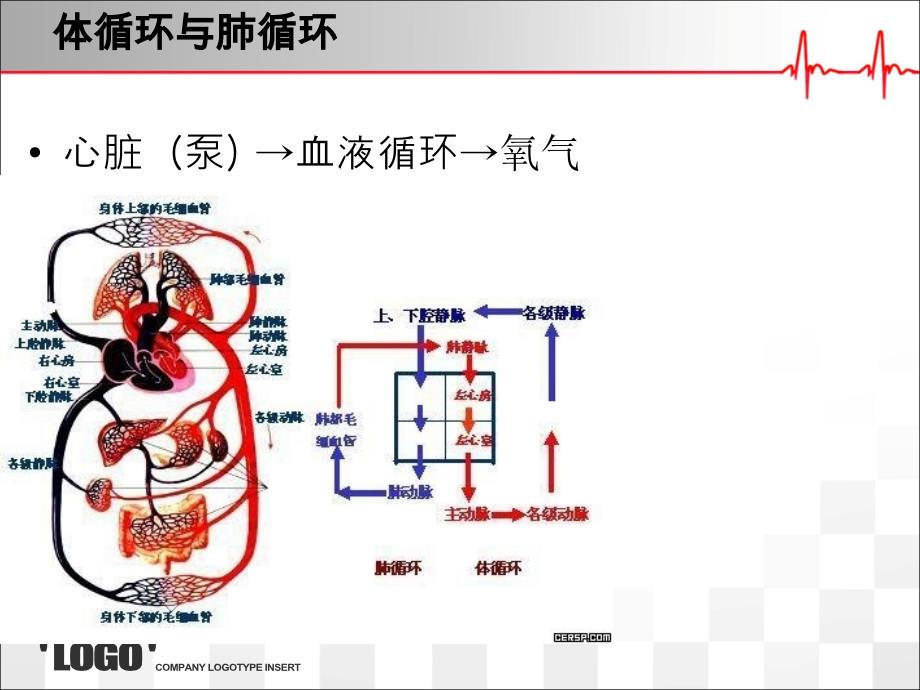 关于CPR的学习和讨论 _第2页