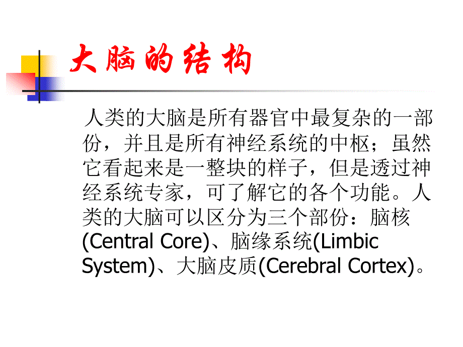 记忆是如何形成的？_第3页