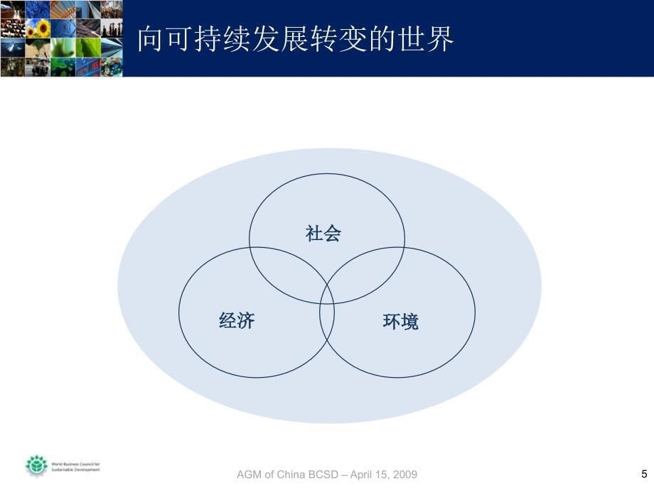 商界可持续发展挑战_第5页