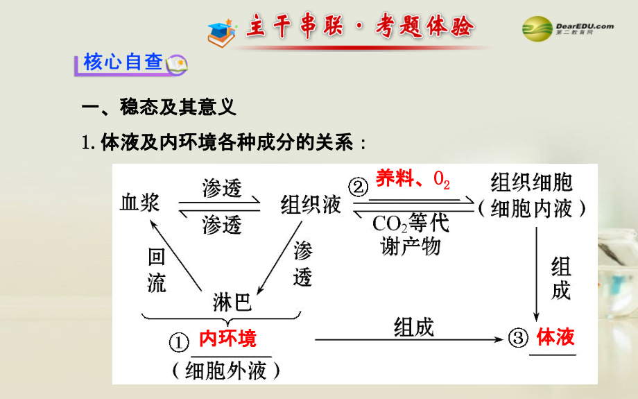 （教师用书）高考生物二轮复习 专题五 第3讲人体的内环境与稳态课件_第2页