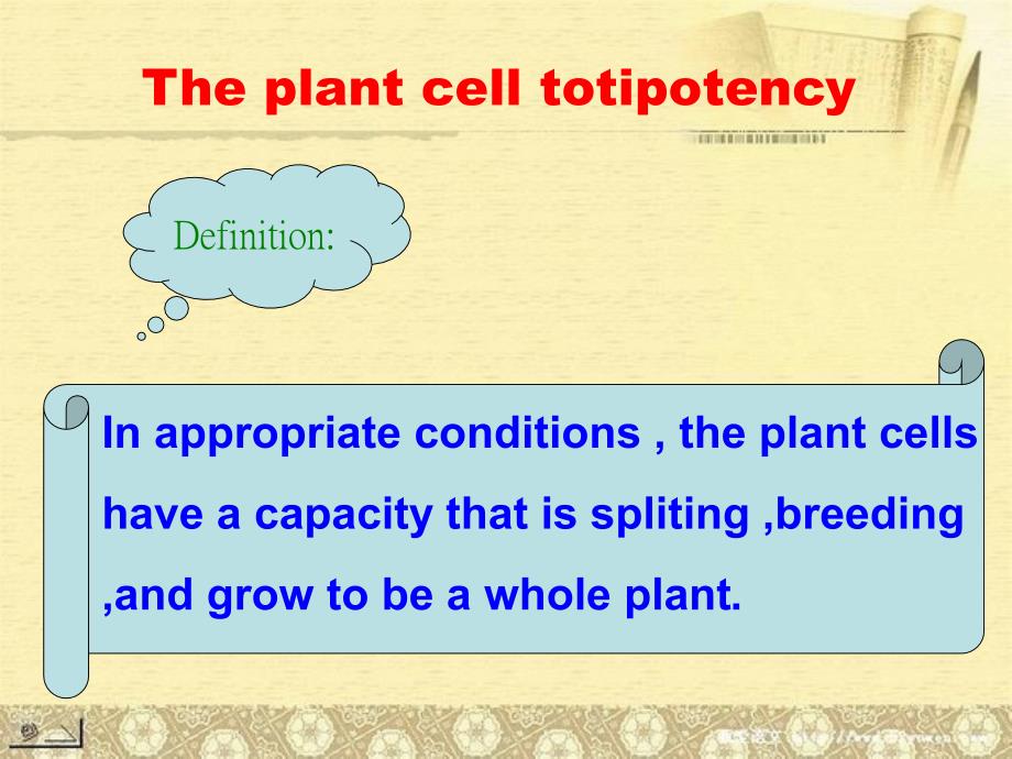 细胞全能性  英文课件 植物生理_第2页