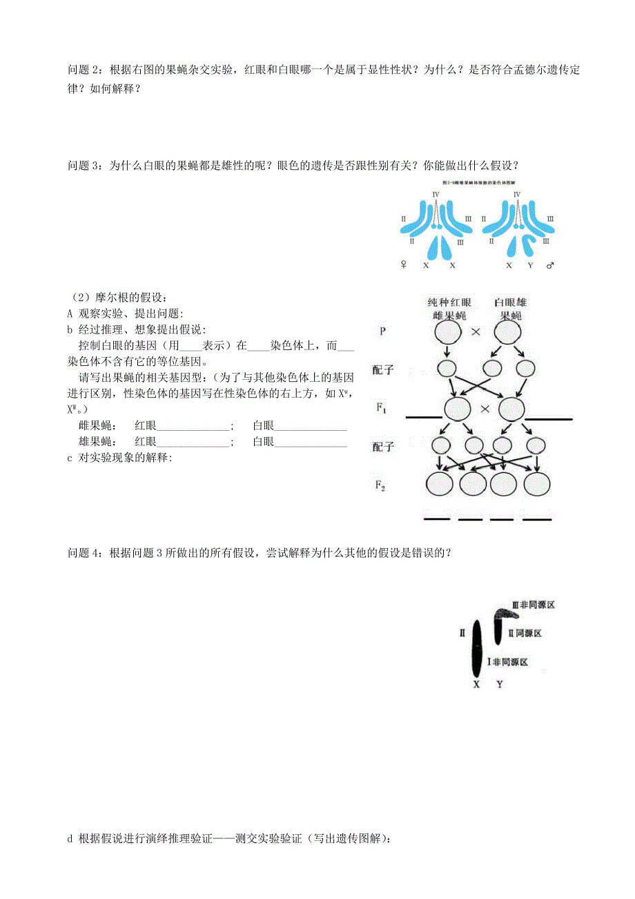 高中生物 基因在染色体上导学案 新人教版必修2_第2页