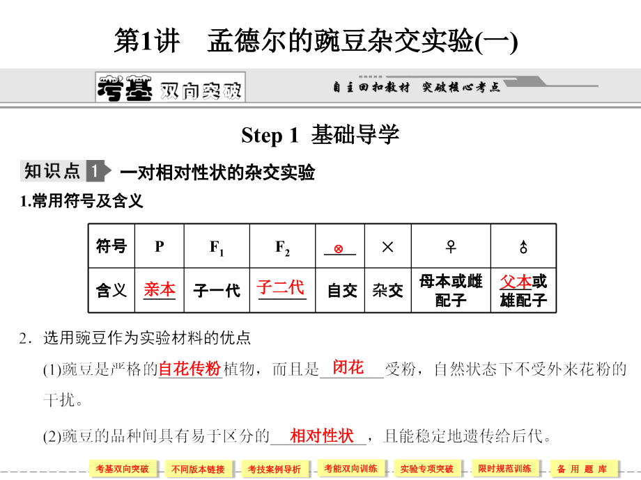 2-1-1细胞分裂_第2页