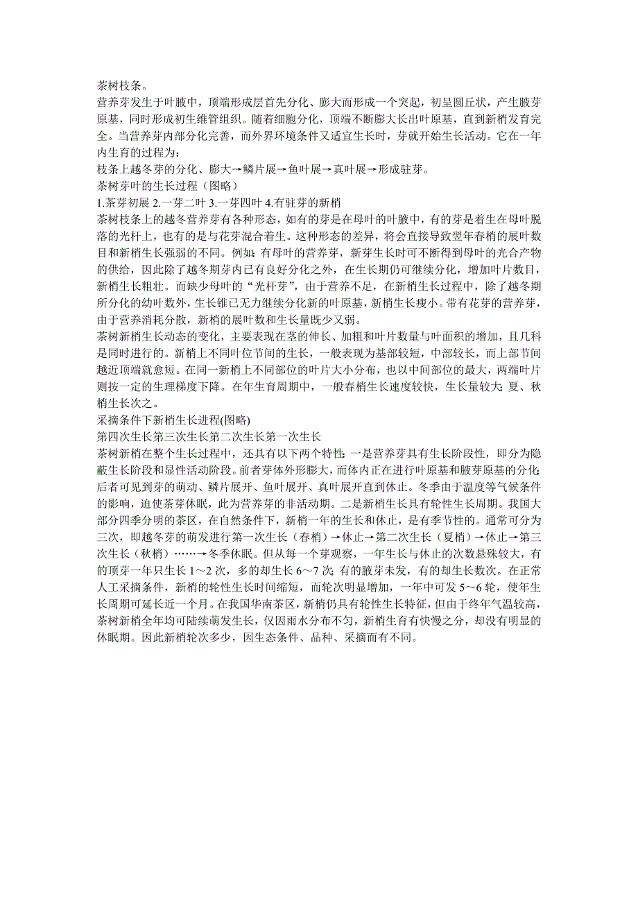 茶树生物学特征：新梢的形成和生长_第1页