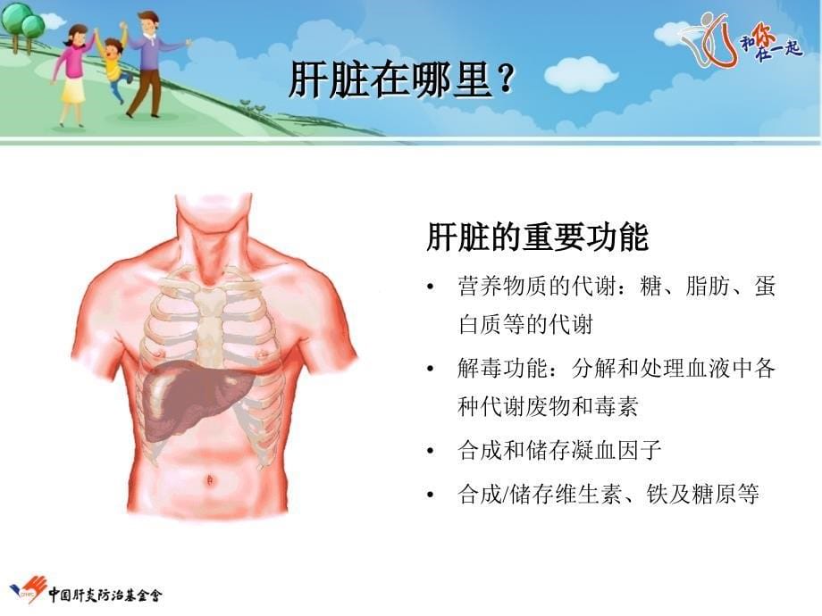 病毒性肝炎系列科普讲座--刚发现乙肝,我该怎 么办_第5页