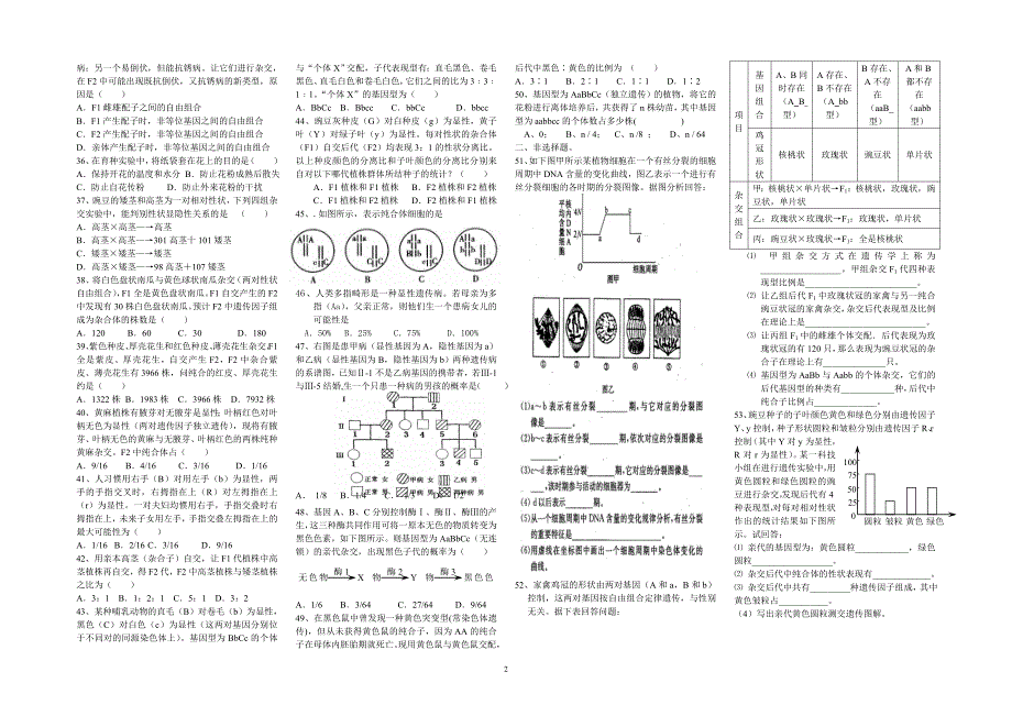 九龙中学2013年3月月考_第2页