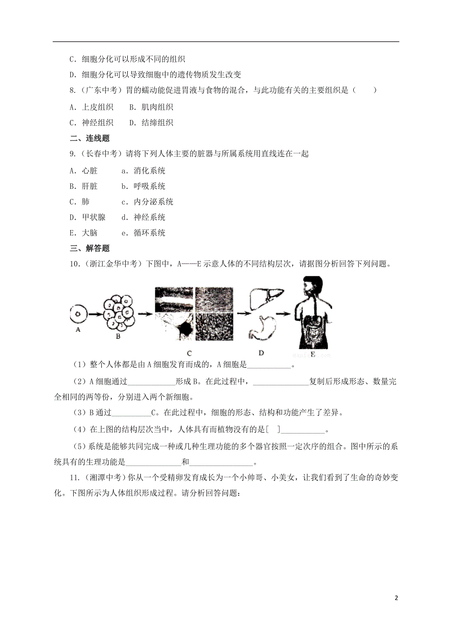 2016_2017学年七年级生物上册2.2.2动物体的结构层次课后作业新版新人教版20170808319_第2页