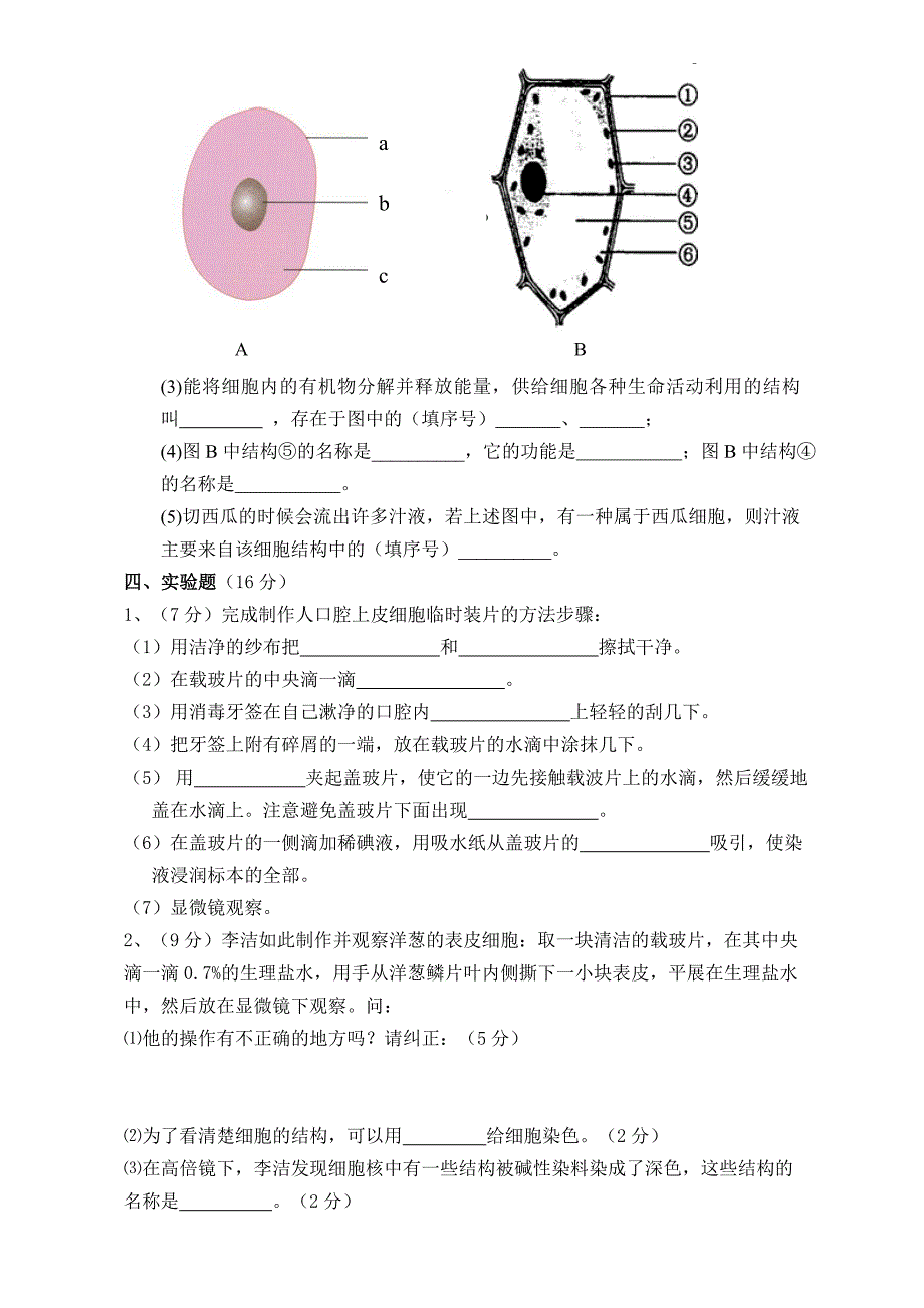 七年级生物上册期中考试试卷_第4页