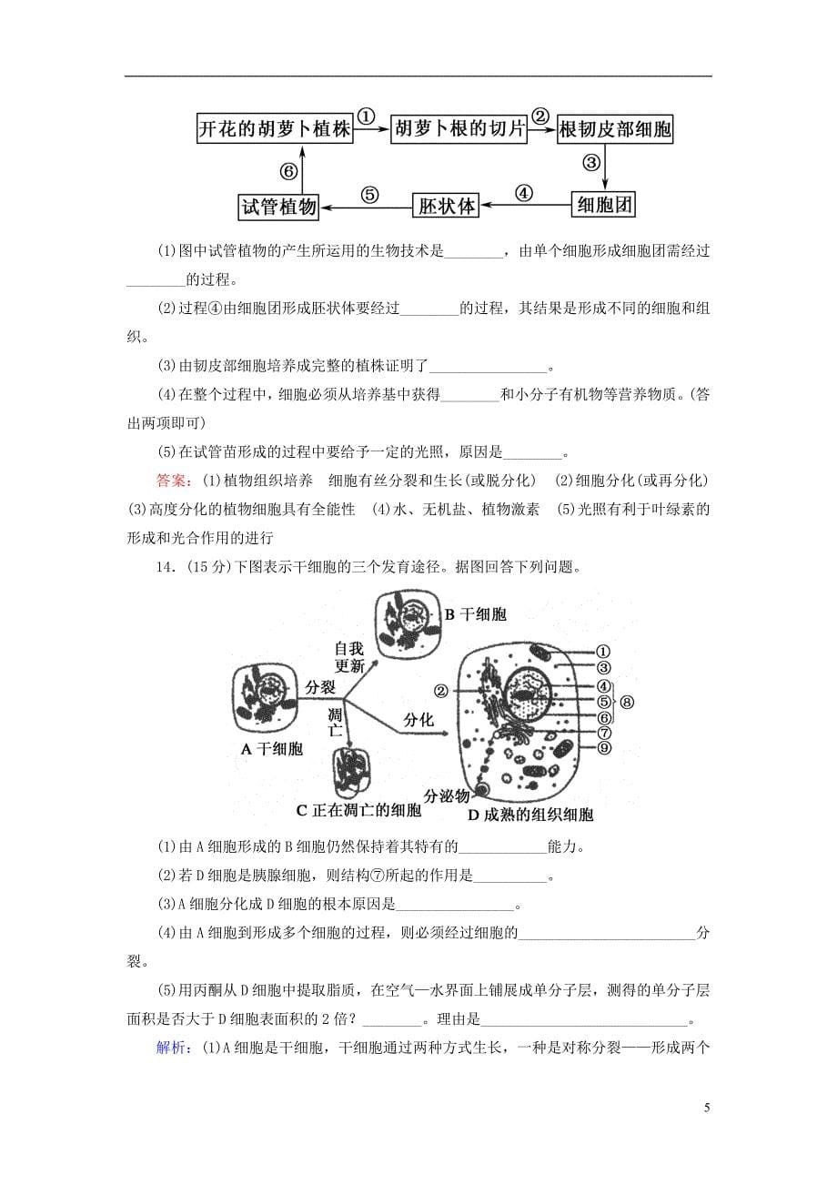 高中生物 课时作业19 细胞的分化 新人教版必修1_第5页