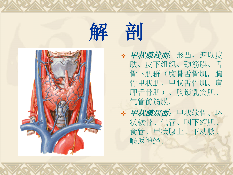 甲状腺超声诊断_第3页